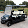 2+4 6 seater electric golf cart