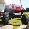 2+4 6 Seat Electric Off Road Golf Cart - EG2024ASZ