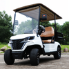 Mini Electric Golf Buggy Carts with Cargo Dump Bed - EG202EH