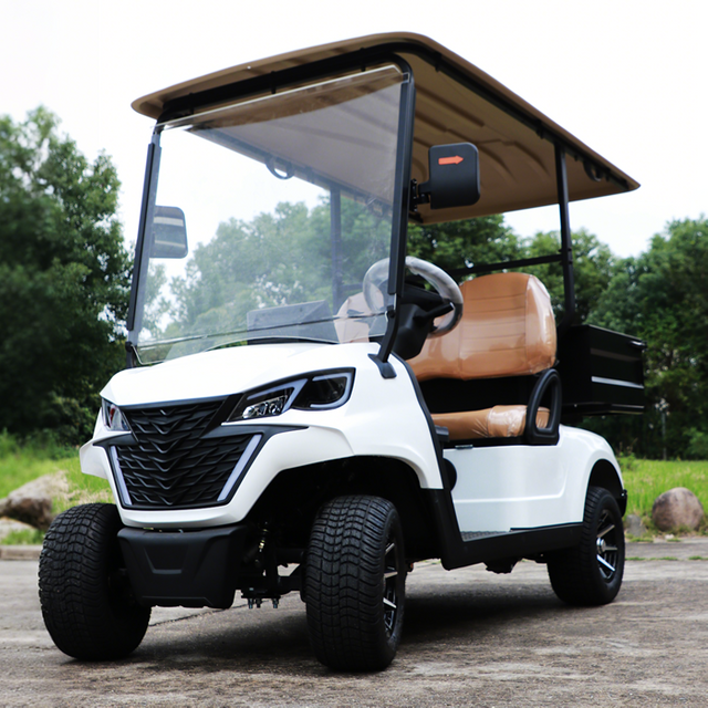 Mini Electric Golf Buggy Carts with Cargo Dump Bed - EG202EH
