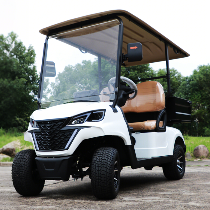 Mini Electric Golf Buggy Carts with Cargo Dump Bed - EG202EH