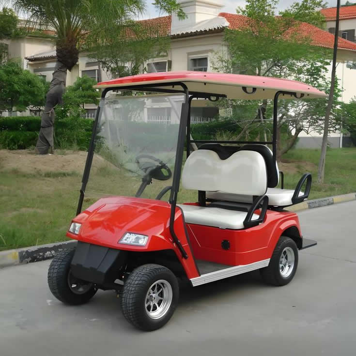Custom Mini Electric Golf Cart Golf Buggy Carts for Sale