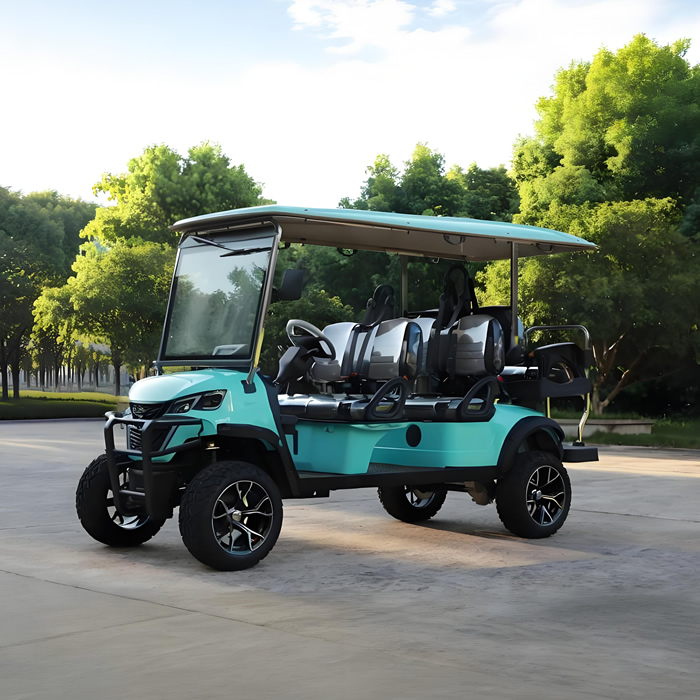 Wholesale Custom Lithium Electric Lifted Carts Golf Cart 6 Seater 