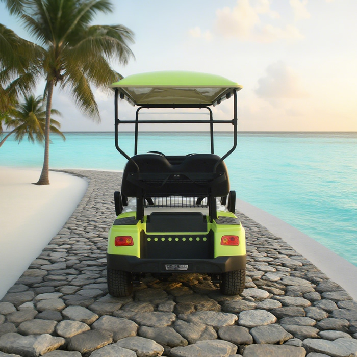 48V 4 Seater LSV Golf Cart Golf Buggy Carts Manufacturer - Eagle Golf Cart