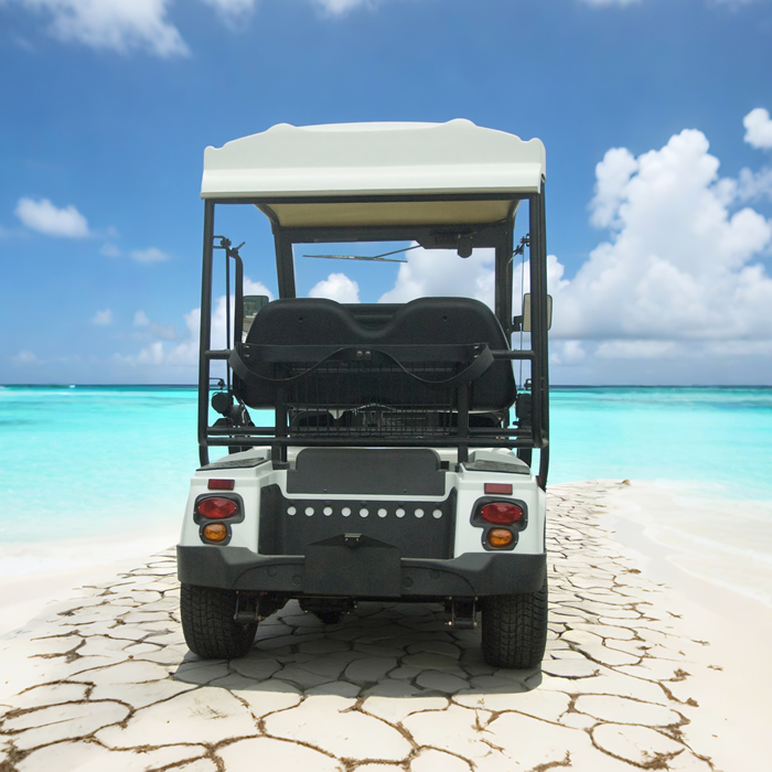 Custom Electric Street Legal Golf Carts Buggy