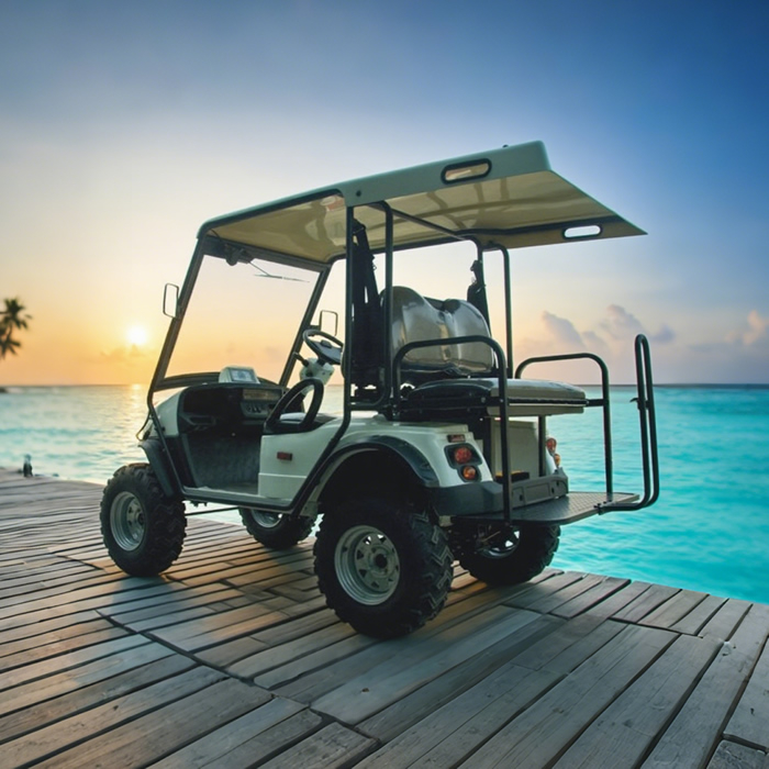 Wholesale Chinese 48V 2 Seat Off Road Golf Cart Manufacturer
