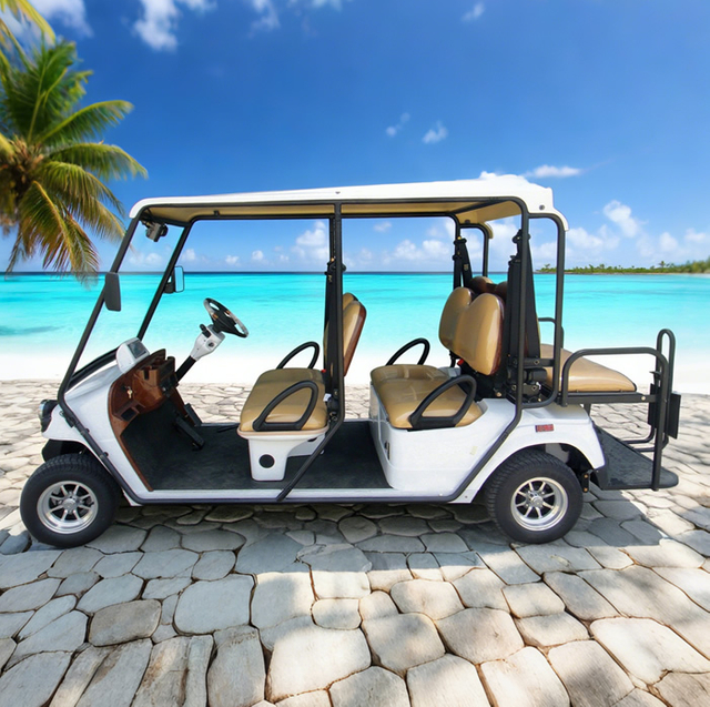 Custom 6 Seater Street Legal Electric Golf Cart - 2048HSZR