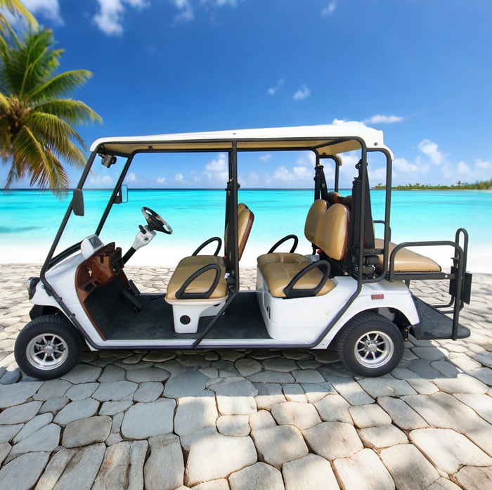 Custom 6 Seater Street Legal Electric Golf Cart - 2048HSZR
