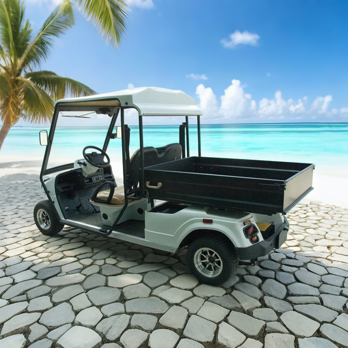Custom Electric Street Legal Cargo Golf Carts with Box