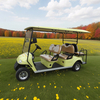 Sightseeing 6 Person Electric Buggy Golf Cart - EG2048KSZ