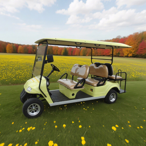 Sightseeing 6 Person Electric Buggy Golf Cart - EG2048KSZ