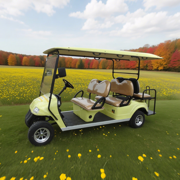 Sightseeing 6 Person Electric Buggy Golf Cart - EG2048KSZ