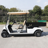 Utility Cargo Truck Golf Cart with Box - EG2048HCX