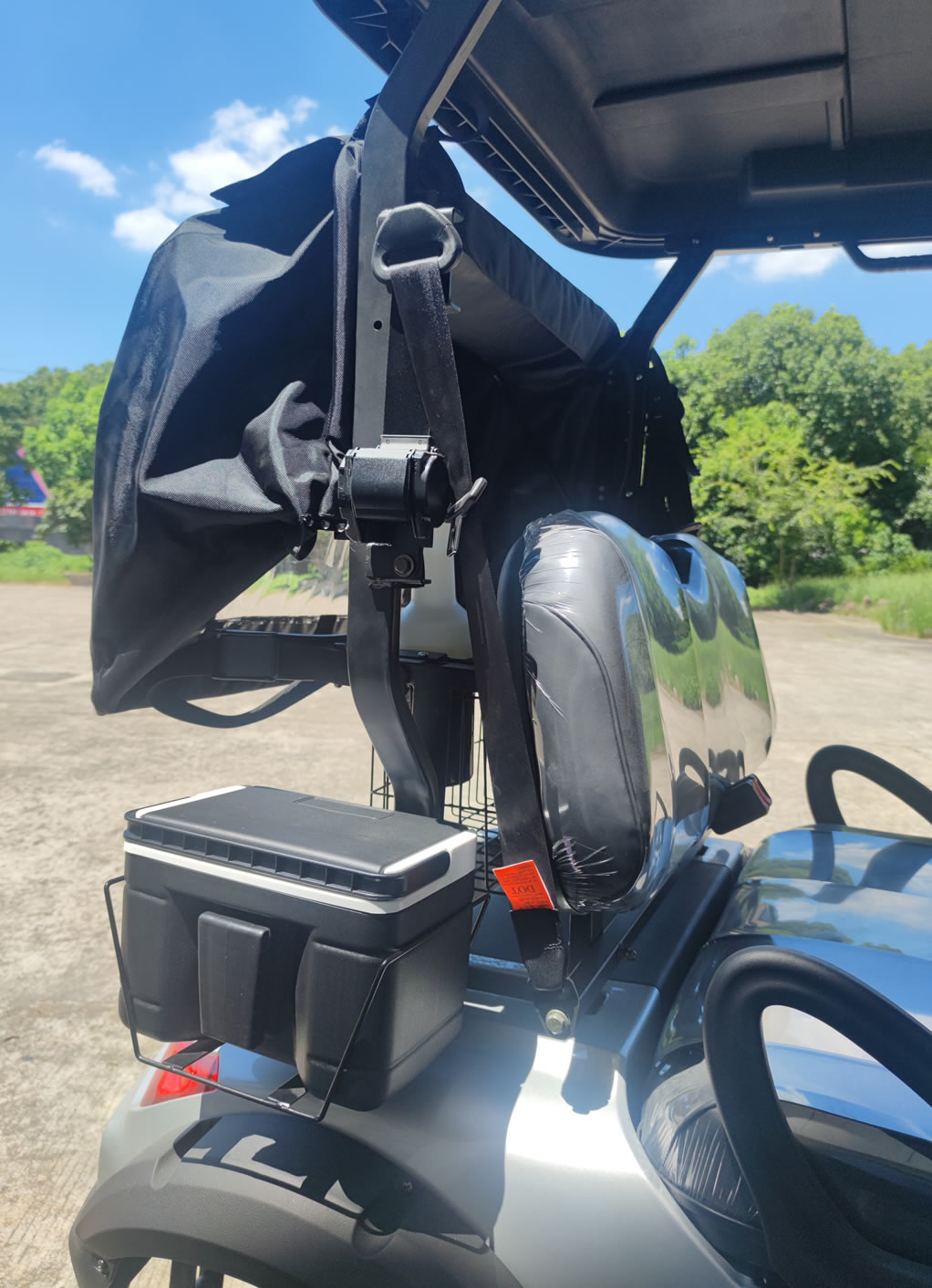 Custom 2 Person Electric Golf Cart