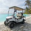 Luxury 4 Seater Golf Cart Electric - EG202EKSZ