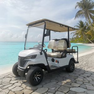 Luxury 4 Seater Golf Cart Electric - EG202EKSZ