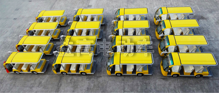EAGLE Electric Sightseeing Bus Car Vehicle Shipped To Vietnam