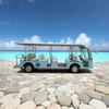 23 Seat Electric Sightseeing Bus