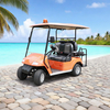 Custom Chinese 2 Seater Mini Golf Carts