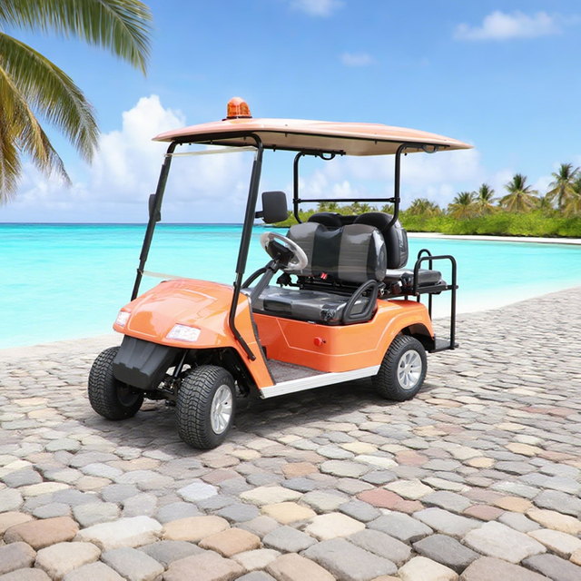 Custom Chinese 2 Seater Mini Golf Carts
