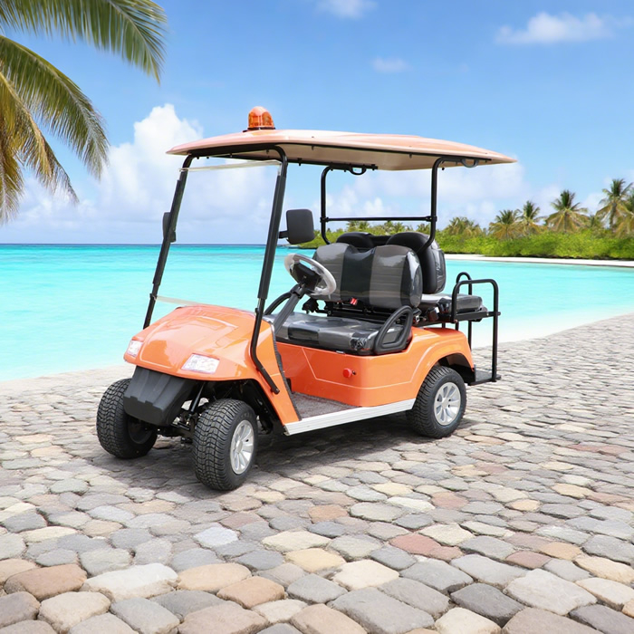 Custom Chinese 2 Seater Mini Golf Carts