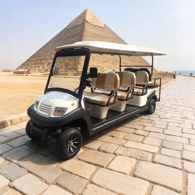 Eight 8 Passenger Person Seater Electric Buggy Golf Carts for Sale - EG206AKSZ