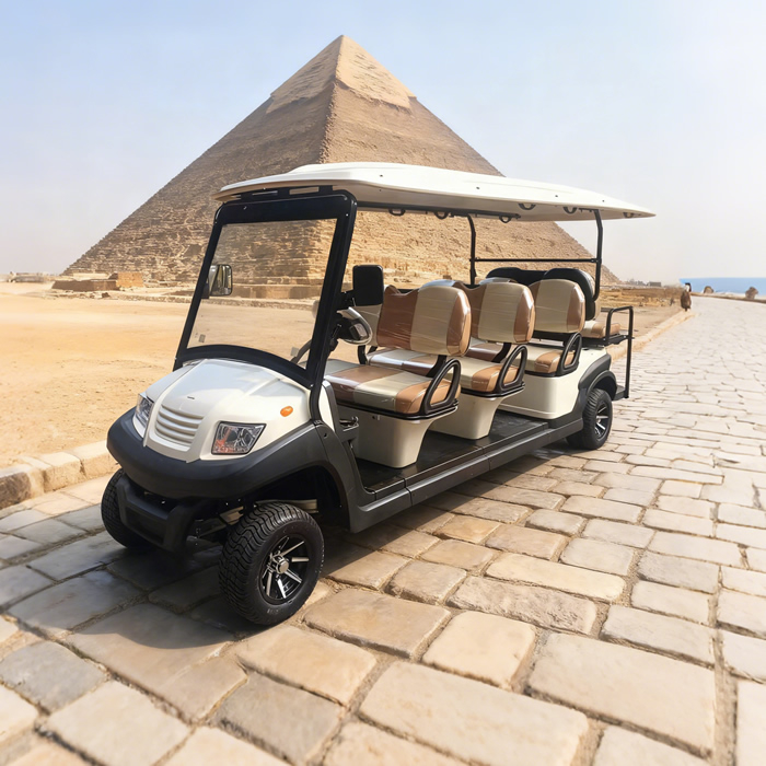 Eight 8 Passenger Person Seater Electric Buggy Golf Carts for Sale - EG206AKSZ