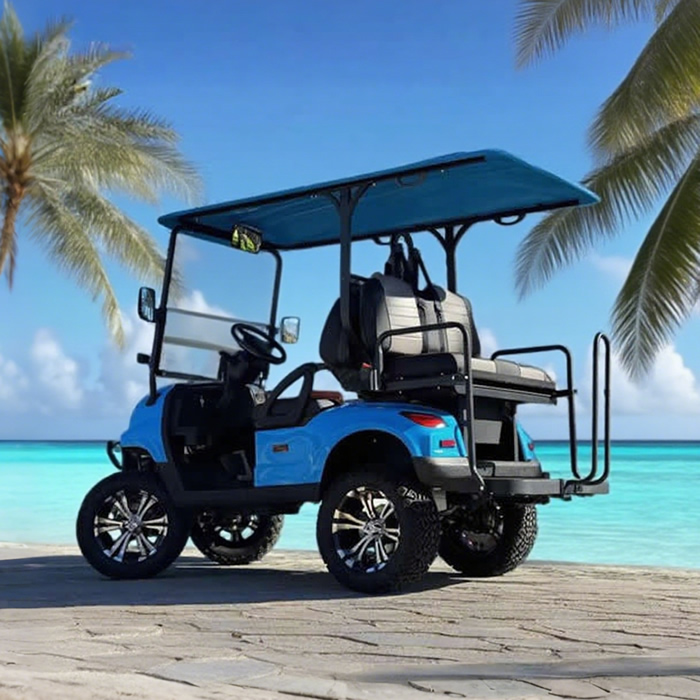 Luxury lifted utility 2+2 4 person seater golf cart