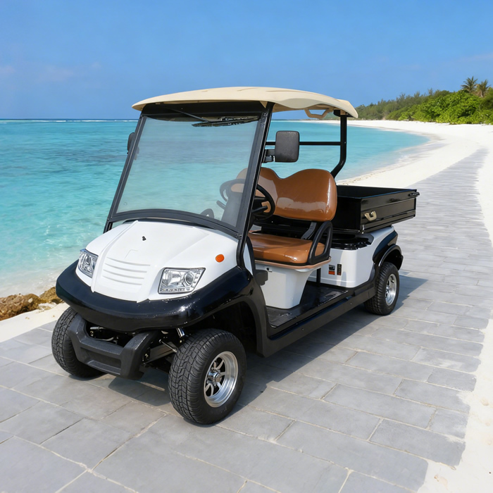 Custom Golf Cart Utility Bed with Cargo Box For Sale