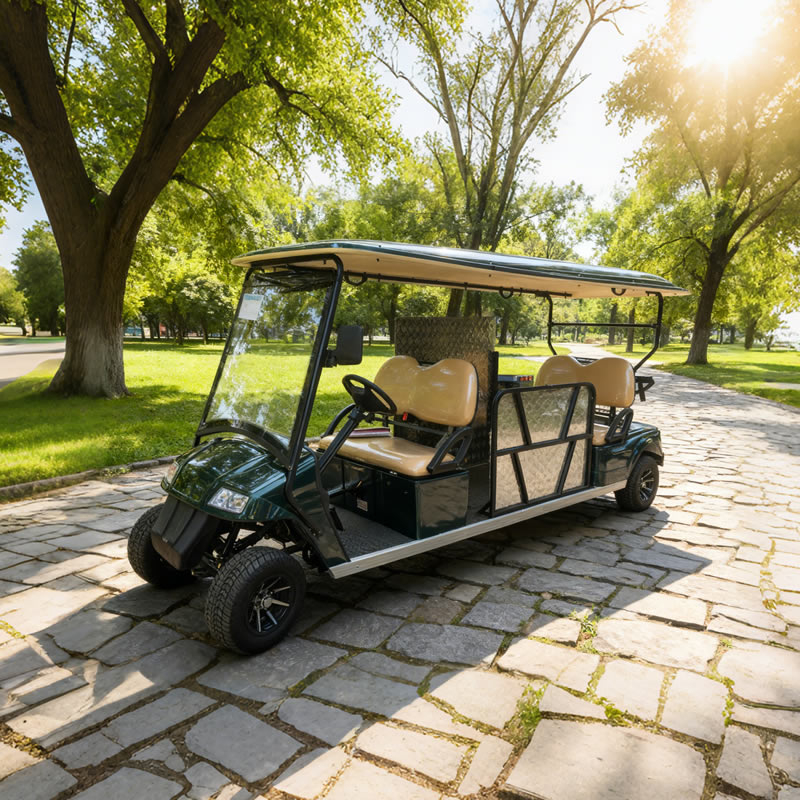 Custom Wholesale Disabled Utility Handicapped Golf Cart Manufacturer 