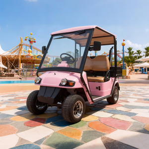 Custom Mimi Electric Golf Cart Buggy Off Road With Box