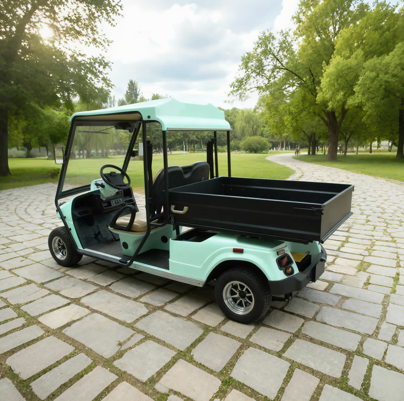 Custom Electric Street Legal Cargo Golf Carts with Box
