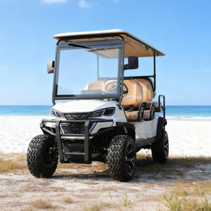 Wholesale Sightseeing Lifted 6 Seater Golf Cart Buggy for Hotels - Eagle Golf Cart