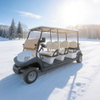 Electric Golf Car Price in Egypt - Eagle Golf Cart
