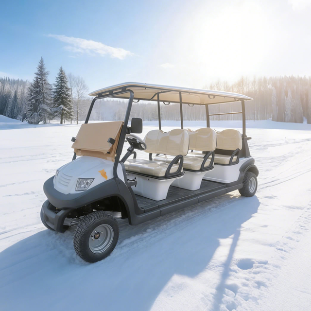 Electric Golf Car Price in Egypt - Eagle Golf Cart