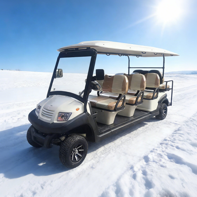 Eight 8 Passenger Person Seater Electric Buggy Golf Carts for Sale - Eagle Golf Cart