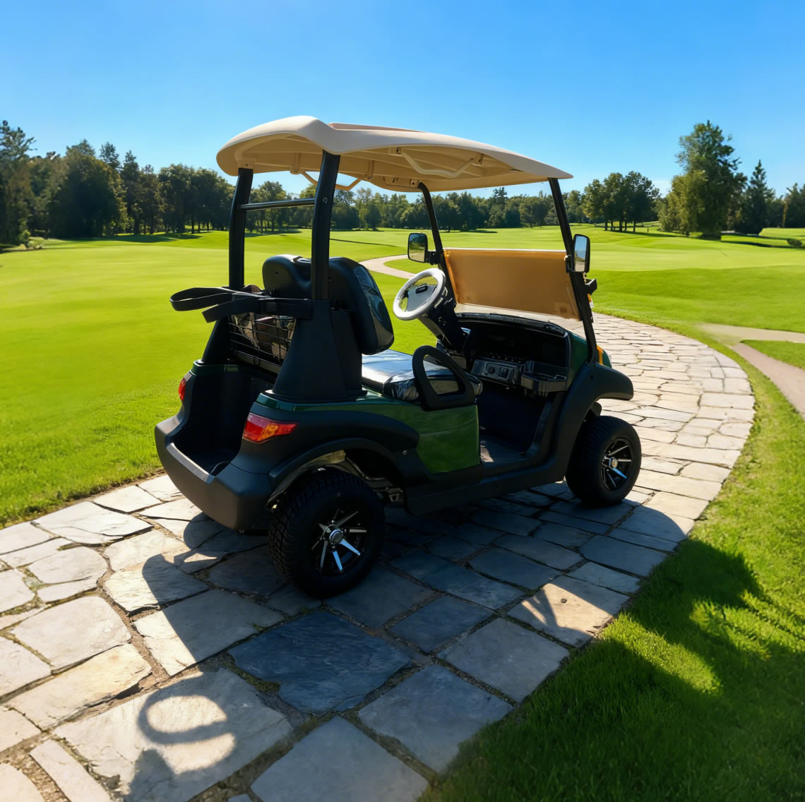 Custom Best 48V Mini Farm Electric Battery Lithium Golf Cart