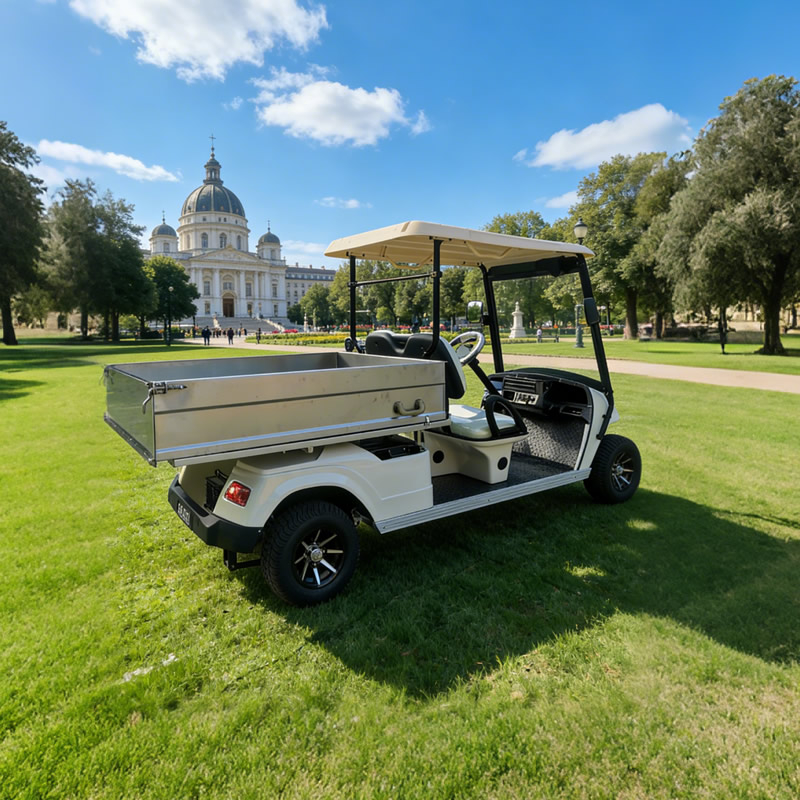 Golf Cart with Stainless steel Cargo Dump Bed