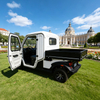 Electric Mini Truck: 2-Seater Street Legal Enclosed Utility Vehicle for Maintenance