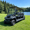 Top Manufacturer & Supplier of 6 Seater Golf Carts Prices - Eagle Golf Cart