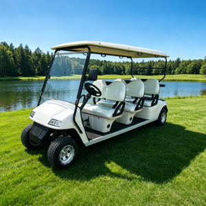 Sightseeing Vehicle 6 Passenger Person Seat Electric Buggy Golf Cart - Eagle Golf Cart