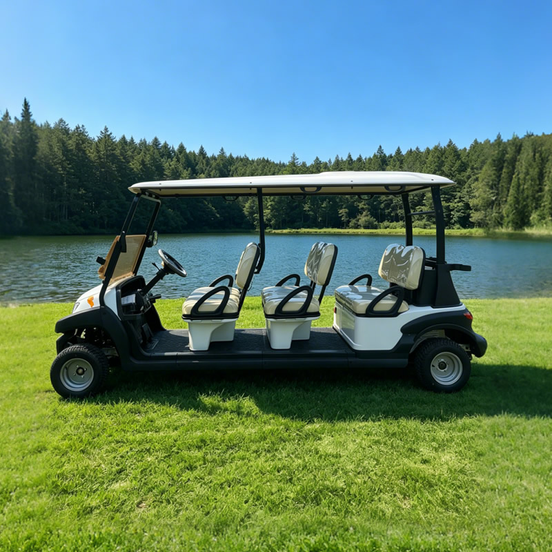 Electric 6 Seat Passenger Golf Car Price in Egypt - Eagle Golf Cart