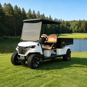Utility Golf Carts Buggy with Cargo Box - Eagle Golf Cart