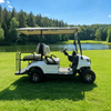 Luxury 4 Seater Golf Cart Electric - Eagle Golf Cart