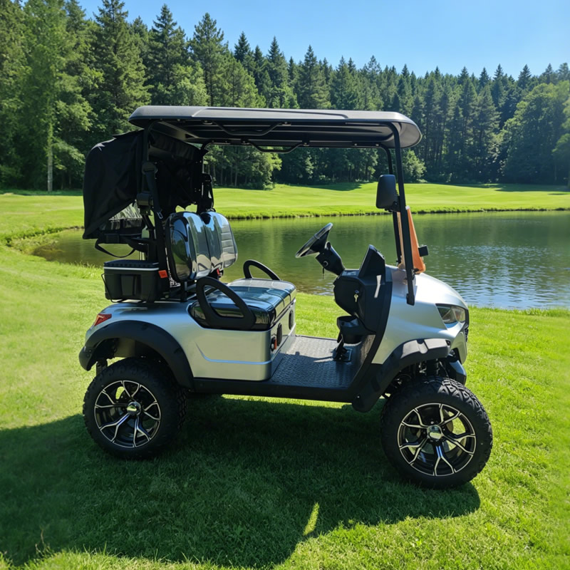 Custom 2 Person Electric Golf Cart - Eagle Golf Cart