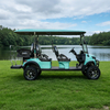 Wholesale Custom Lithium Electric Lifted Carts Golf Cart 6 Seater