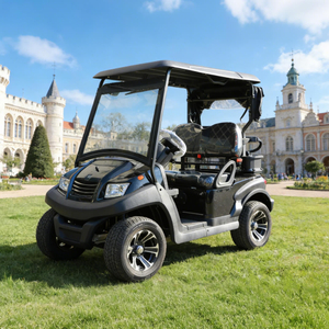 Custom Best 48V Mini Farm Electric Battery Lithium Golf Cart 