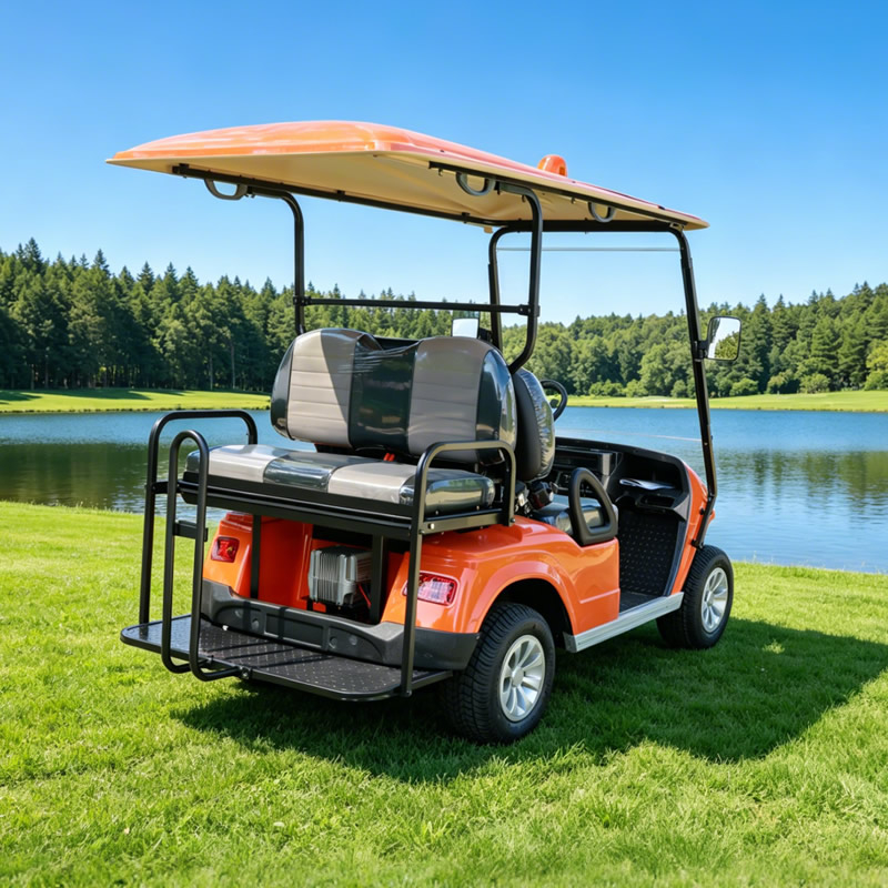 Custom Chinese 2 Seater Mini Golf Carts - Eagle Golf Cart