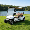 Custom High Quality Electric Lithium Battery Golf Cart for Sale - Eagle