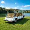 Custom Electric Sightseeing Bus & Shuttle Bus | Premium Electric Resort Vehicles 